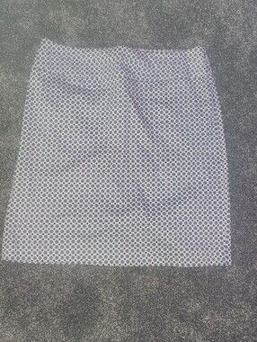 Donna Ricco Blue and White Geometric Skirt Size 10